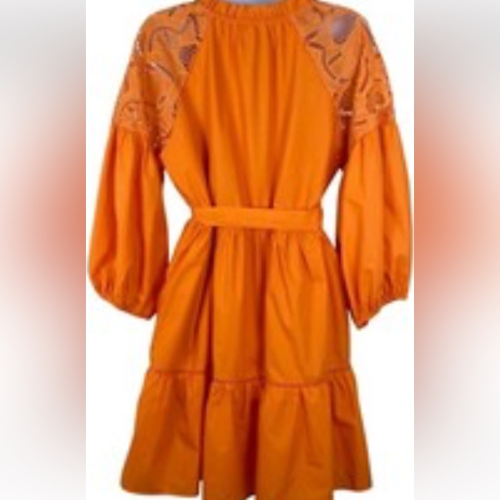Jade Orange Tie-Waist Long Sleeve Dress with Lace Insets